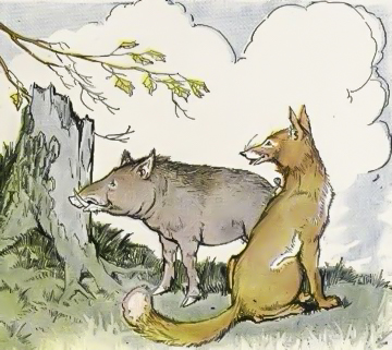 The Wild Boar and the Fox