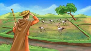 The Farmer and the Cranes