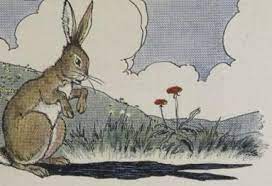 The Hare and his Shadow 