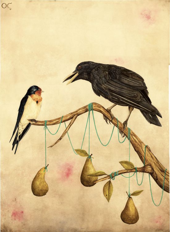 Raven swallows