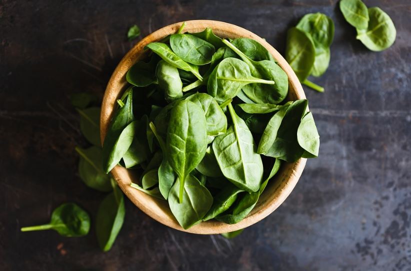 What is the French word for Basil?