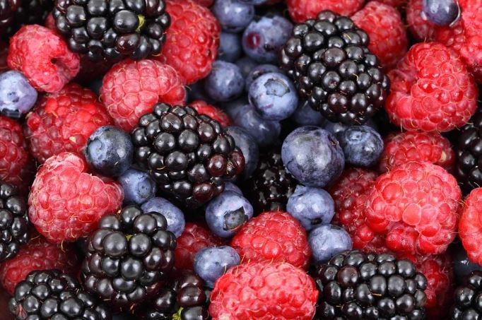 Word List of Berries in French