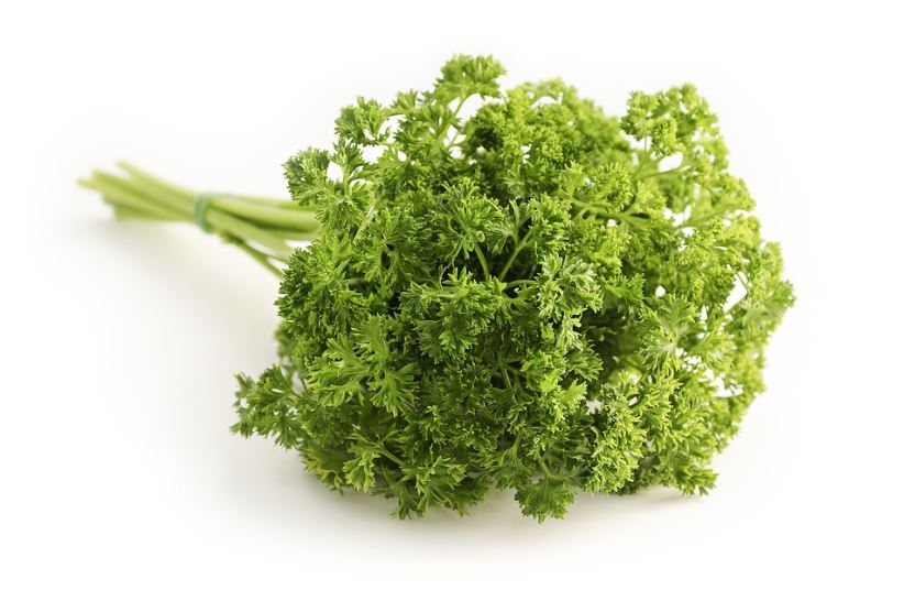 What is the word for Parsley in Spanish?