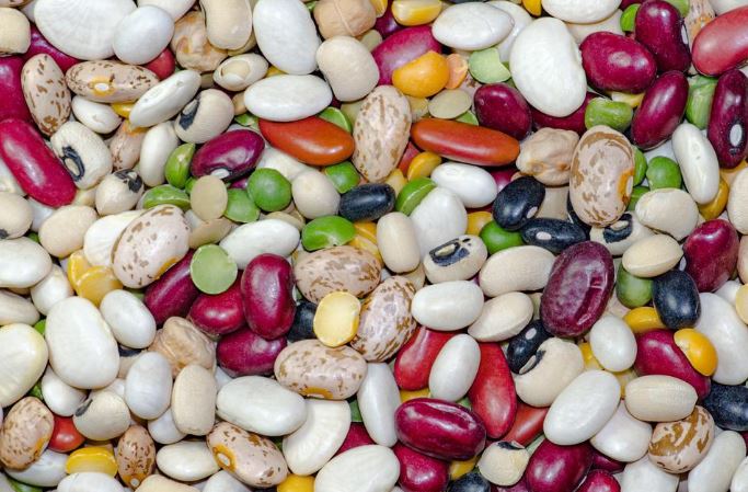 list of beans and lentils in French